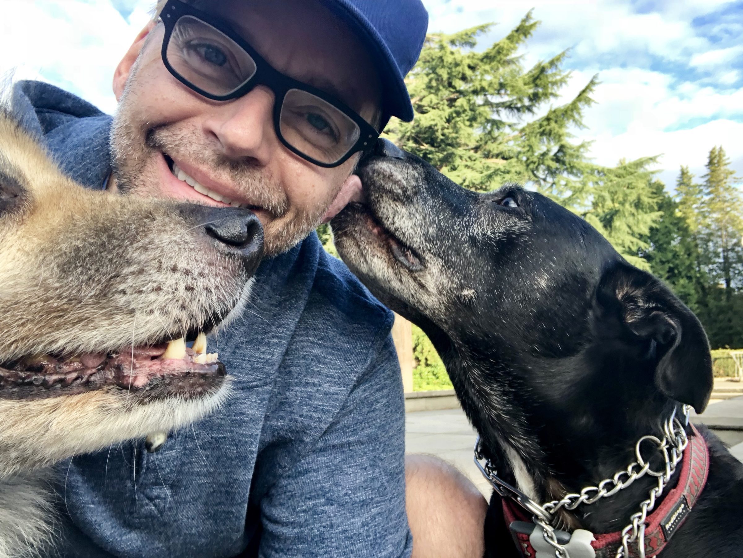 A person crouching on the ground being licked by a large dog while another dog pants next to him.