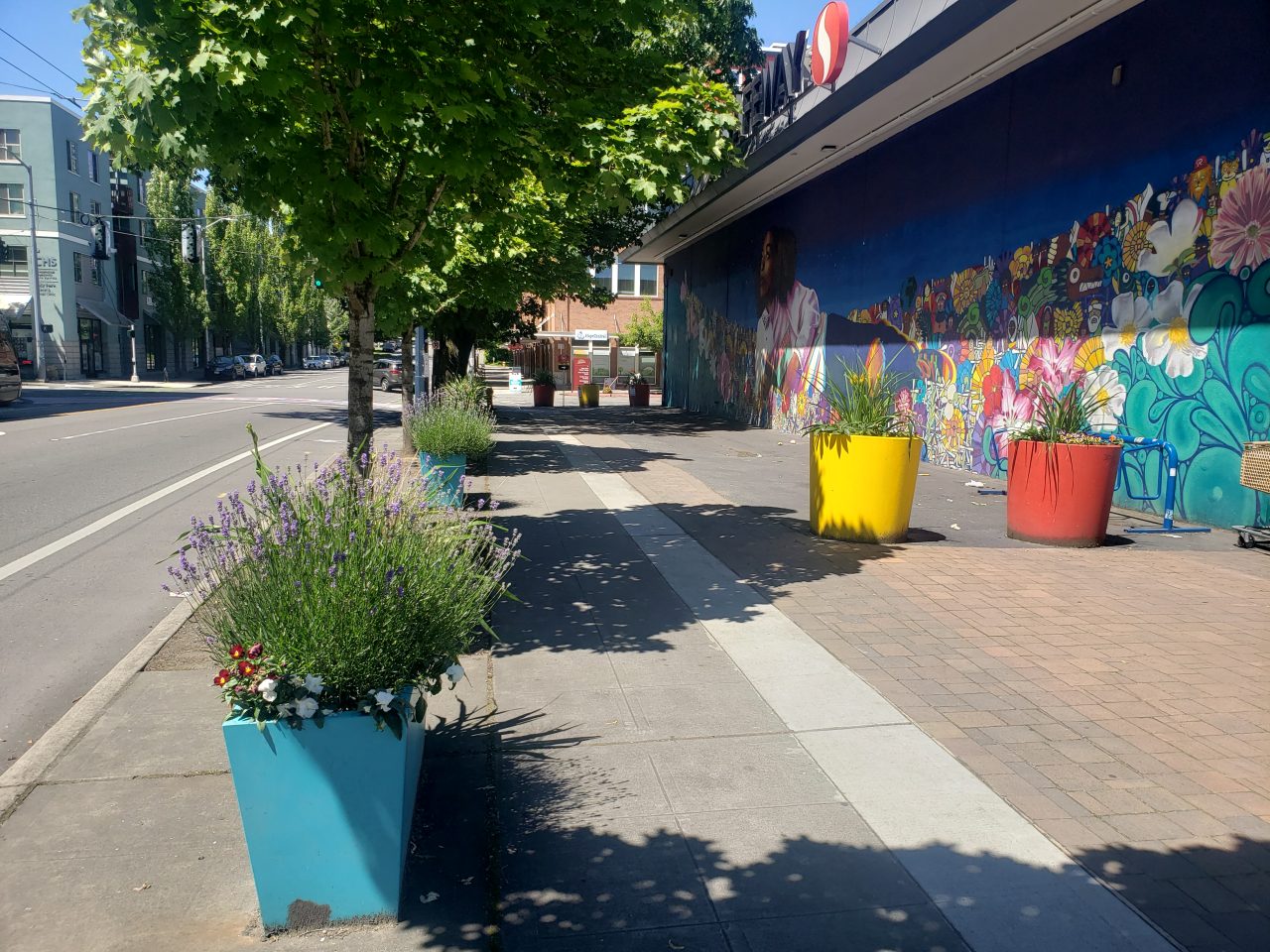 Inflorescence Mural Plaza-looking West after phase 3