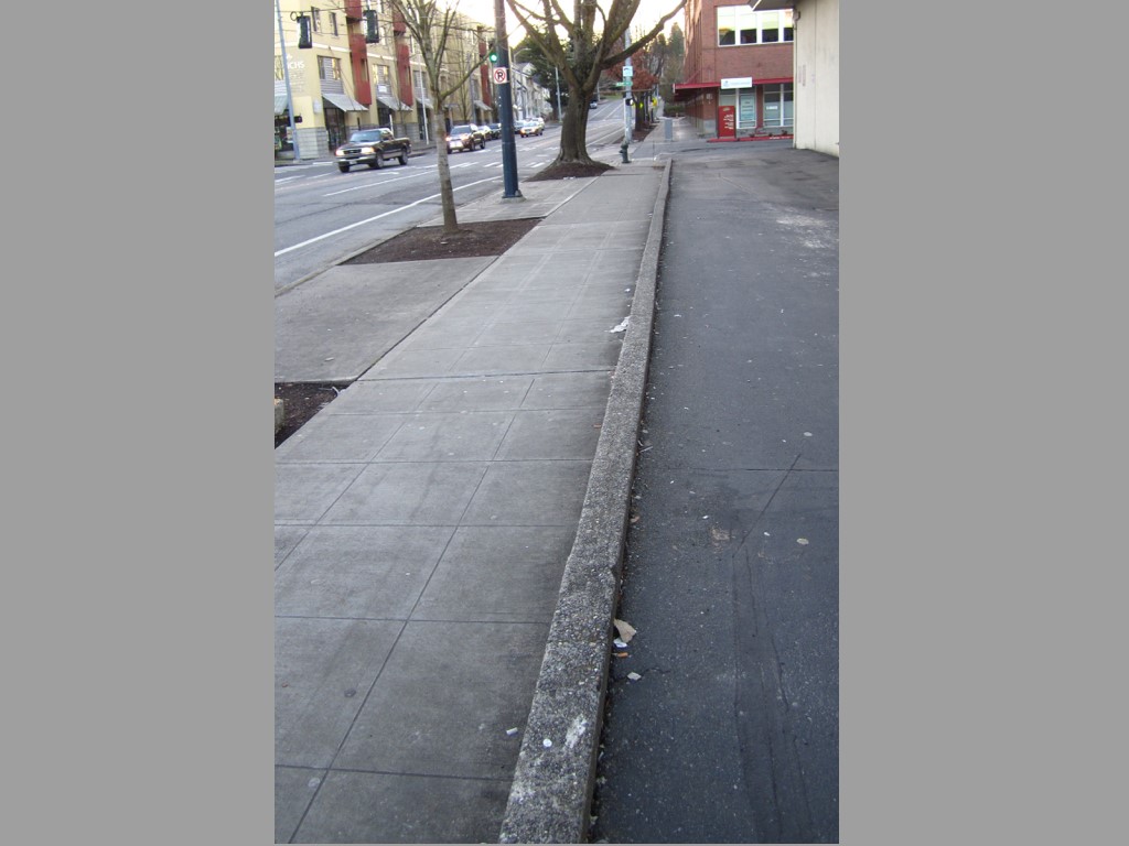 Inflorescence Plaza Development - before any updates